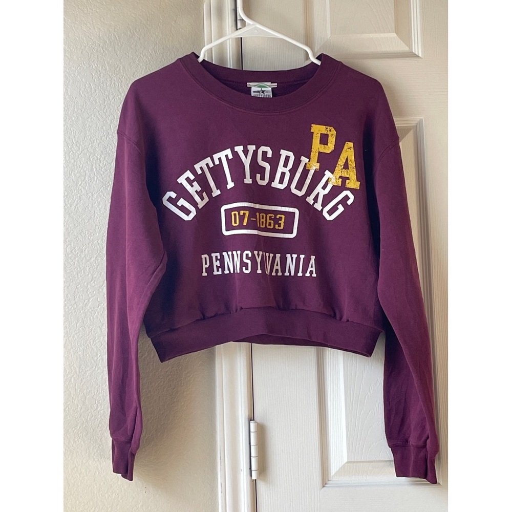 2/$12 Gettysburg Pennsylvania Cropped Hoodie - Burgundy